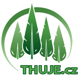 thuje